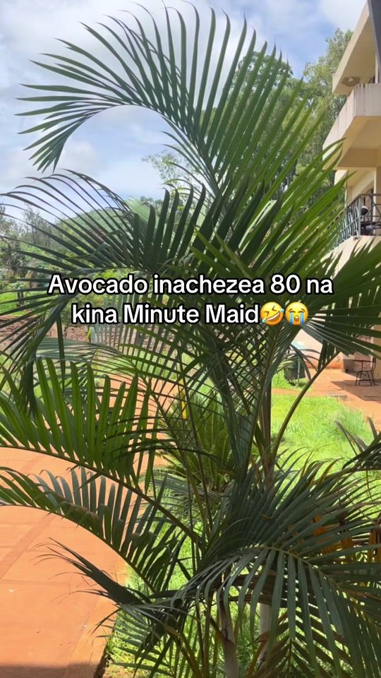 TikTok video thumbnail by former.cs