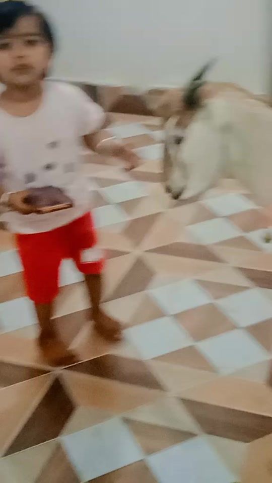 TikTok video thumbnail by aalinkhatun1