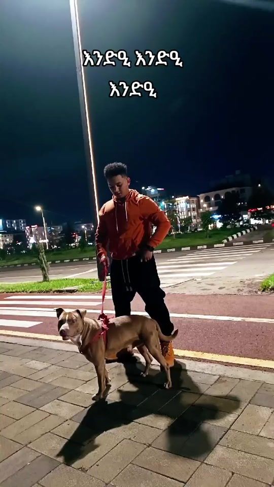TikTok video thumbnail by mike__ferenji