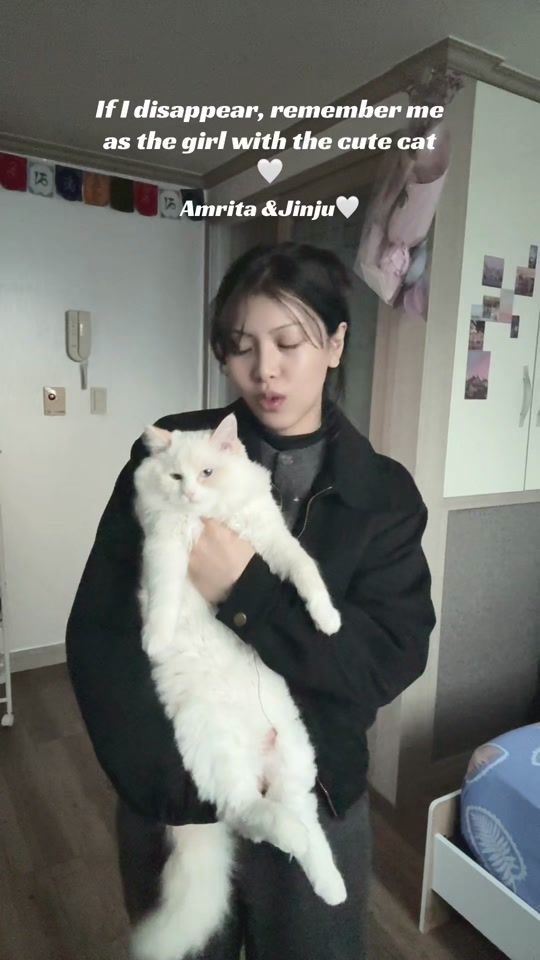 TikTok video thumbnail by amreeta__tmg