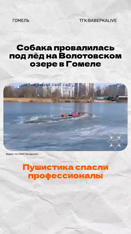 TikTok video thumbnail by belkagomel