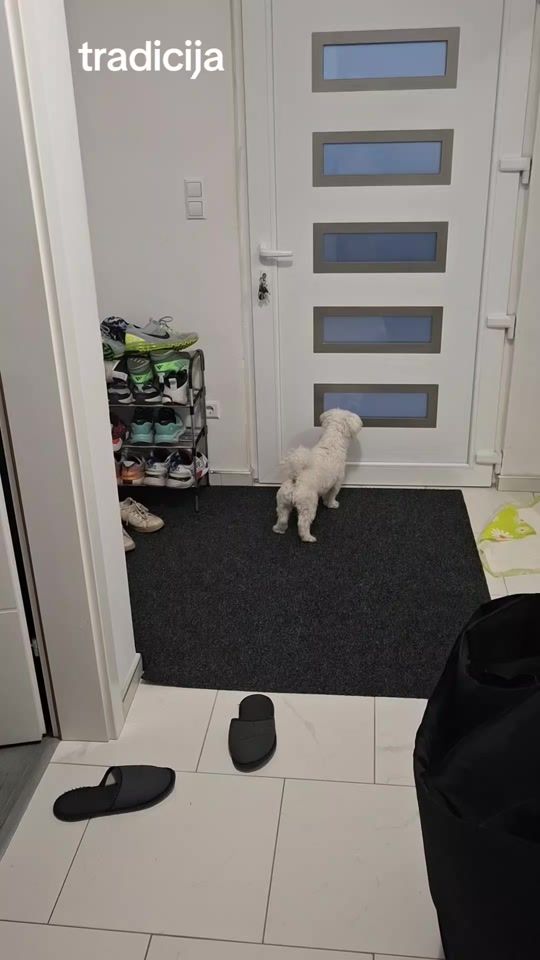 TikTok video thumbnail by davorbiletic
