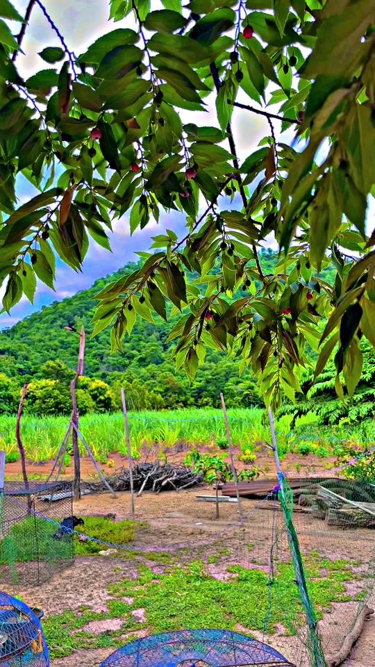 TikTok video thumbnail by tor_2312