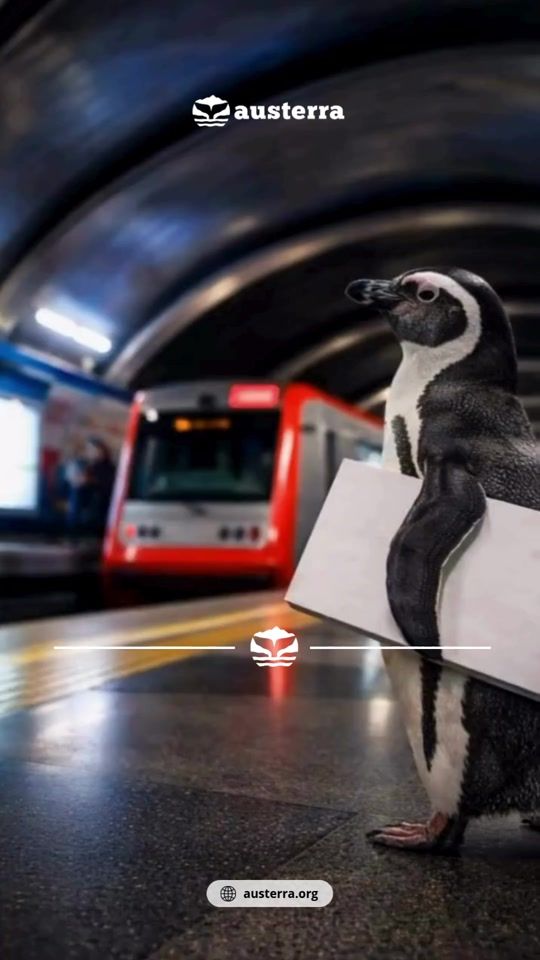 TikTok video thumbnail by austerra_society