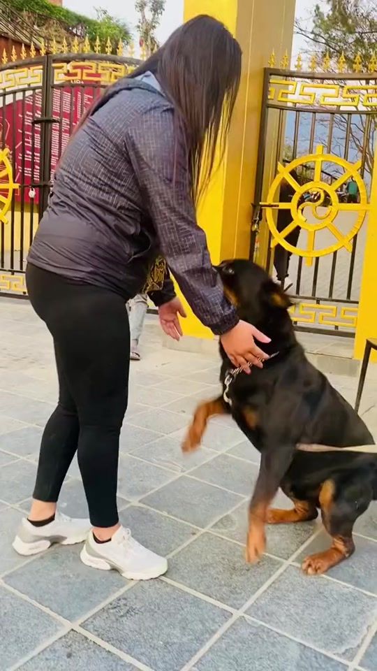 TikTok video thumbnail by saarvikalaama9