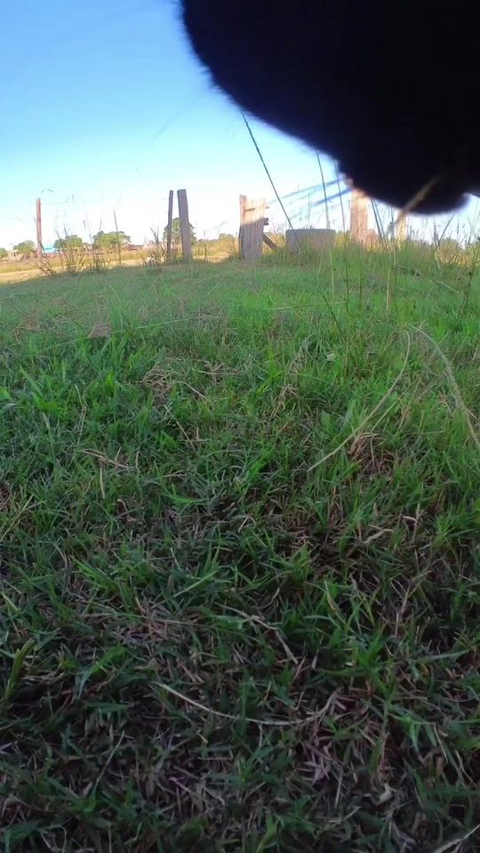 TikTok video thumbnail by pegadasitinerantes