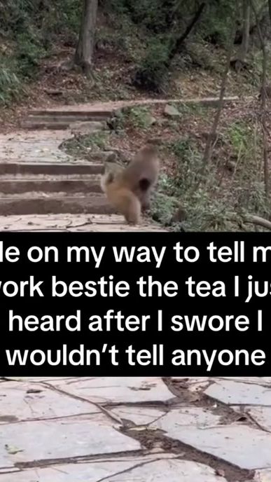 TikTok video thumbnail by beckywiththegoodhurr