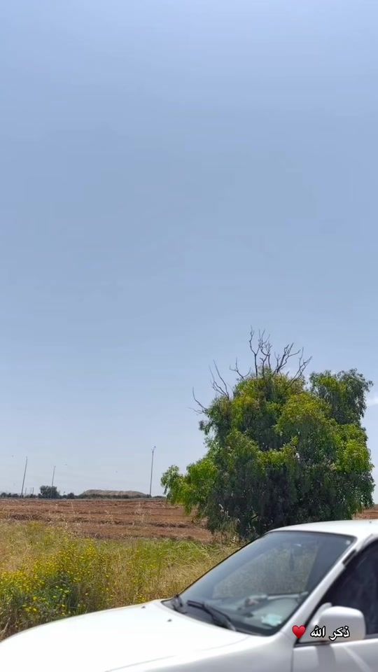 TikTok video thumbnail by 0.____25