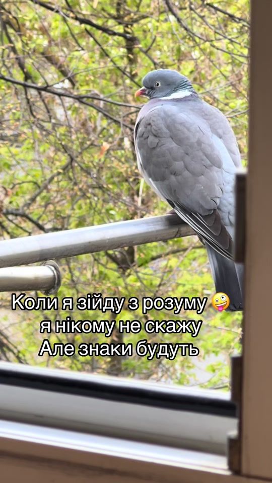 TikTok video thumbnail by olya_7_7_7_