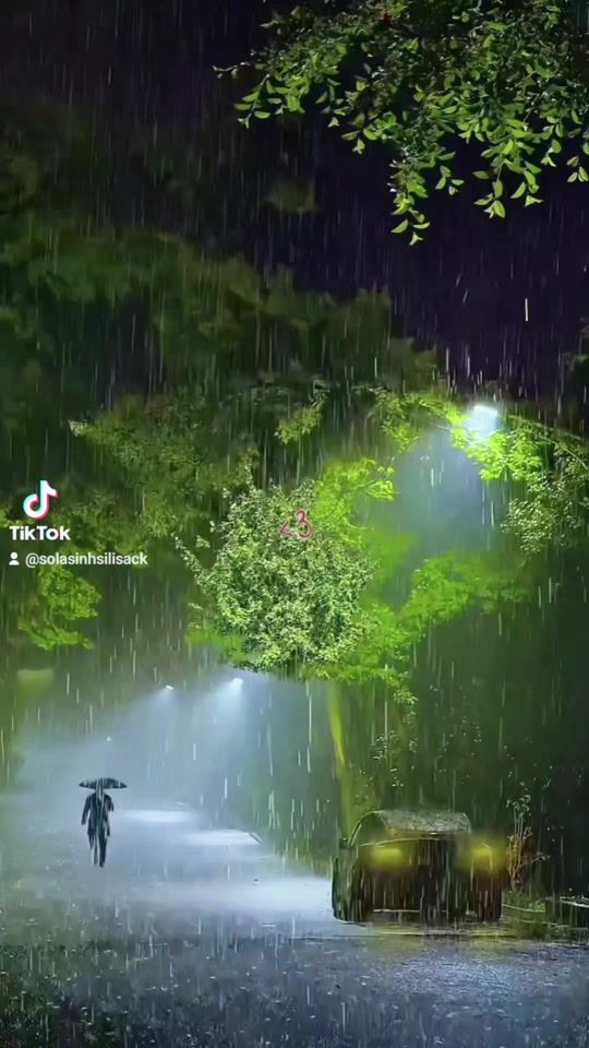 TikTok video thumbnail by solasinhsilisack
