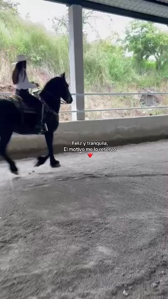 TikTok video thumbnail by sofia.123578