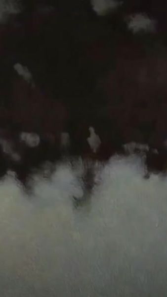 TikTok video thumbnail by emil4048