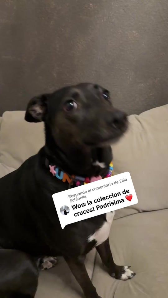 TikTok video thumbnail by masqueunamigo