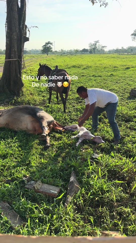 TikTok video thumbnail by luisagirre2