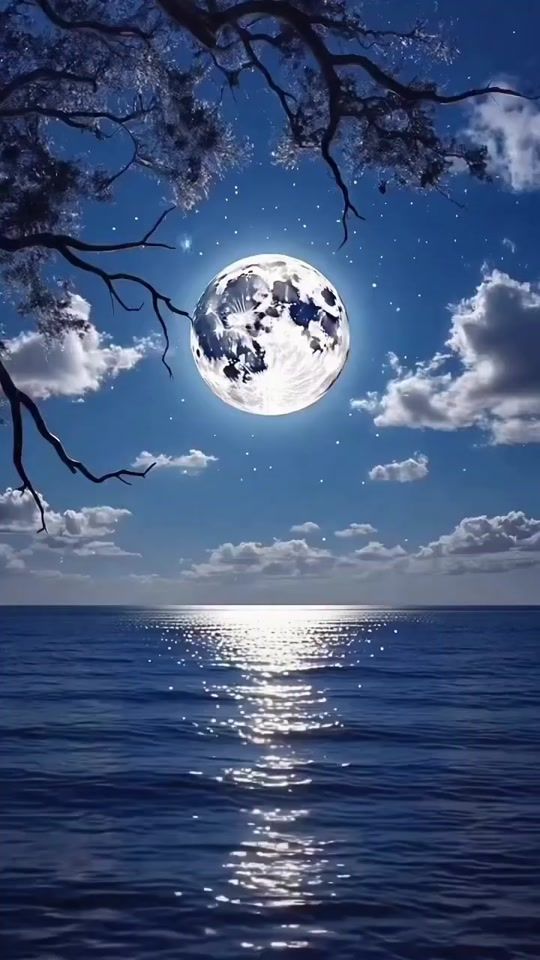 TikTok video thumbnail by silviocesar_reflexoes