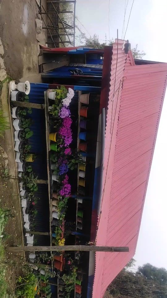 TikTok video thumbnail by renushrestha530