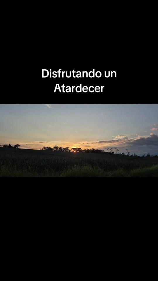 TikTok video thumbnail by gatonegro537