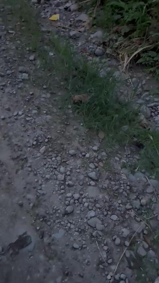 TikTok video thumbnail by prphet.666