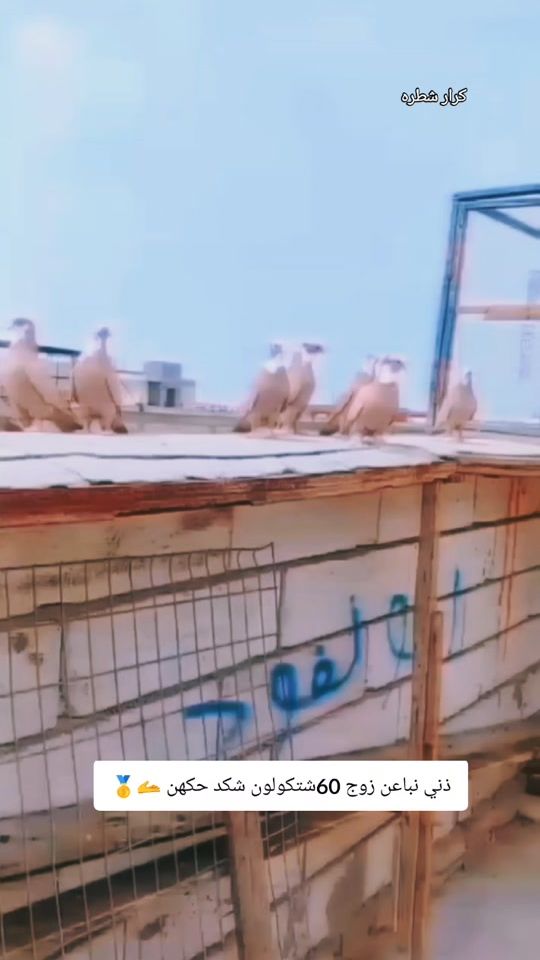 TikTok video thumbnail by 2_hdjl
