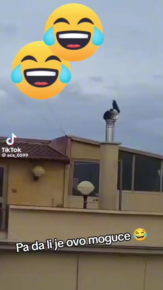 TikTok video thumbnail by cinaflafy
