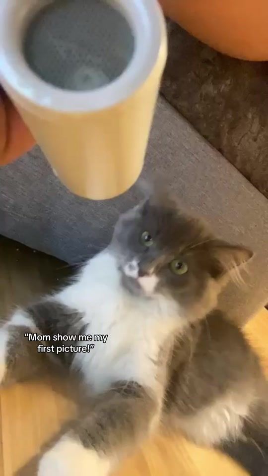 TikTok video thumbnail by ck.hanawa