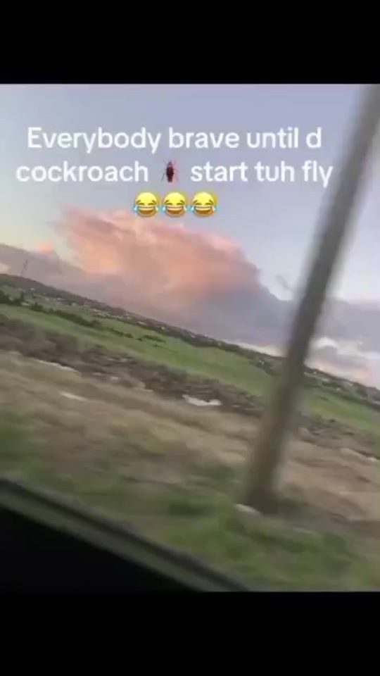TikTok video thumbnail by masta_jj4