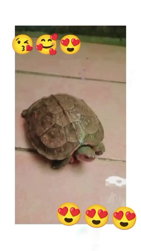 TikTok video thumbnail by steffany.053