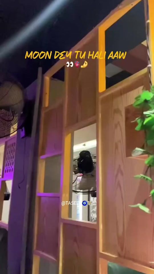 TikTok video thumbnail by haroo___