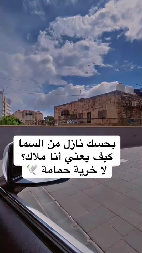 TikTok video thumbnail by khitam.k9