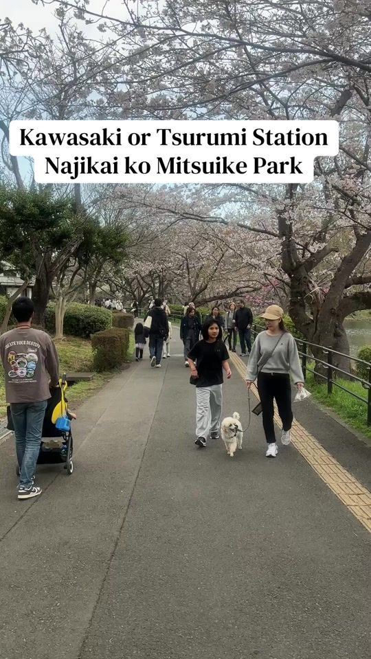 TikTok video thumbnail by raijourneys