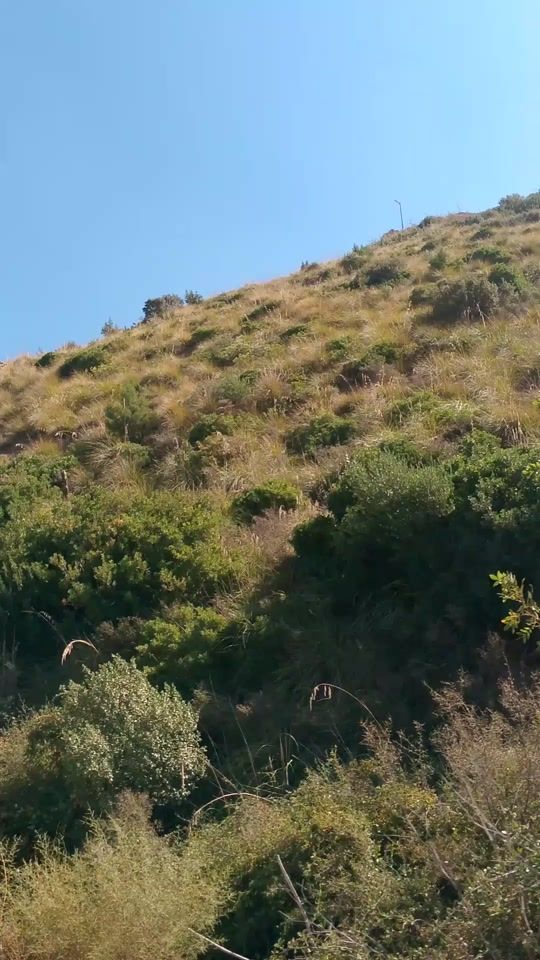 TikTok video thumbnail by abdo26__