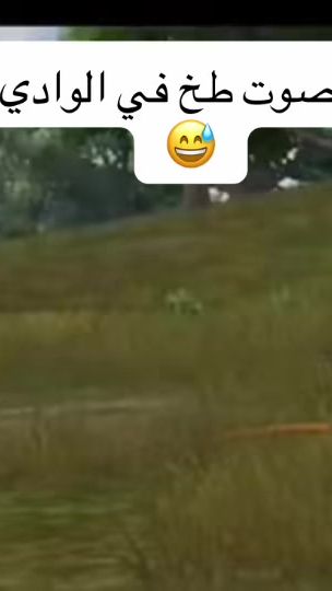 TikTok video thumbnail by abrhema54