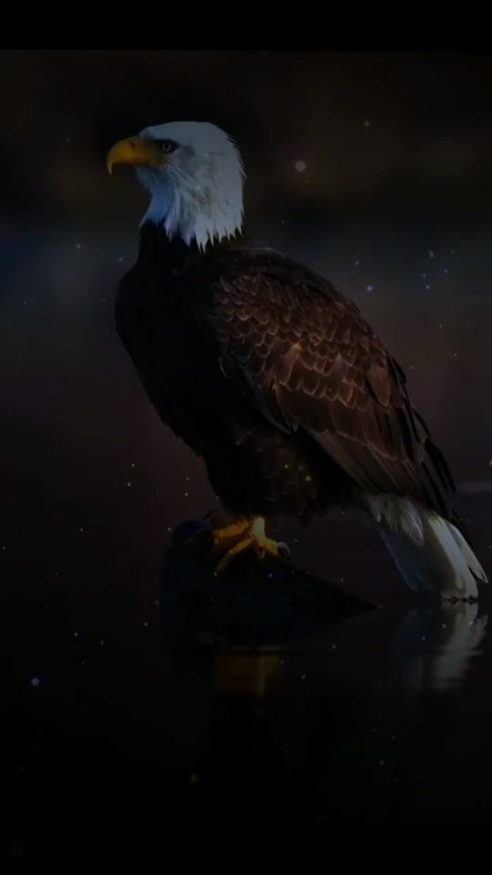 TikTok video thumbnail by doniaisfulloftreacherya0