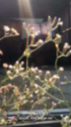 TikTok video thumbnail by olin_florida