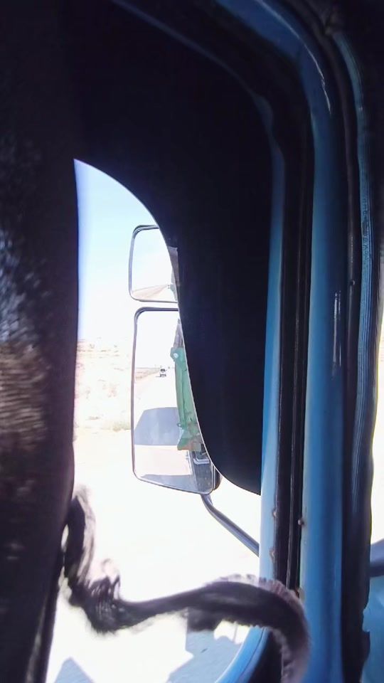 TikTok video thumbnail by farxodjon.9959
