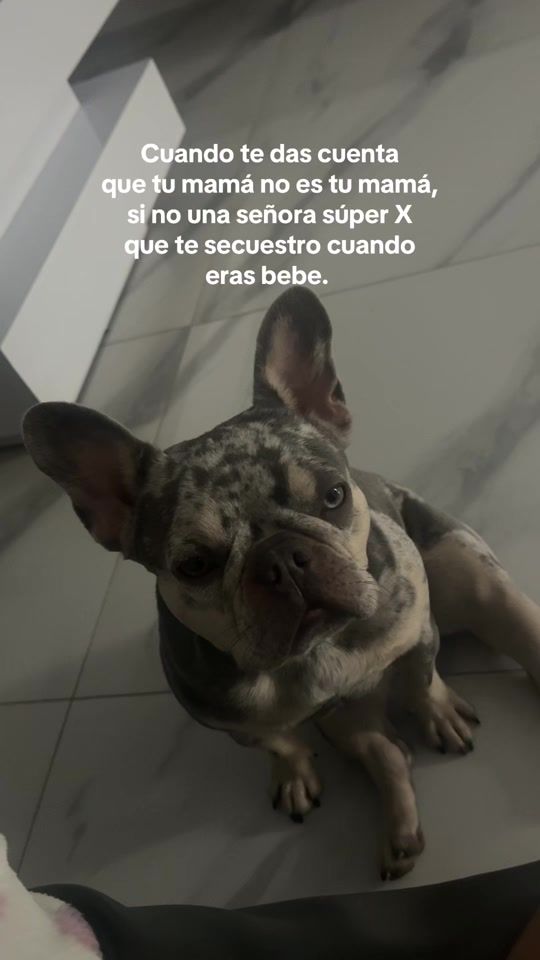 TikTok video thumbnail by aalejandraabreu