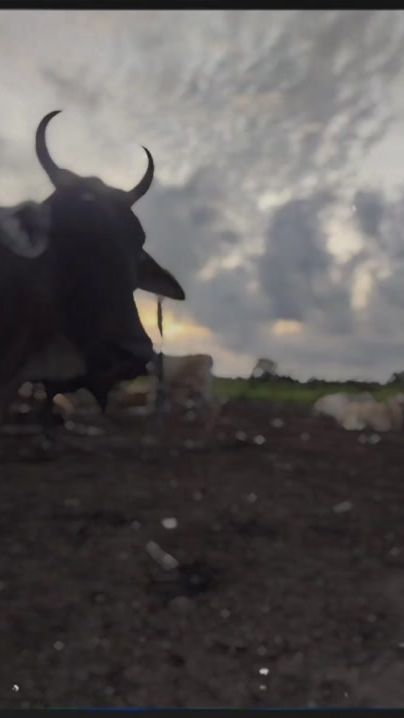 TikTok video thumbnail by elmorenitoo26