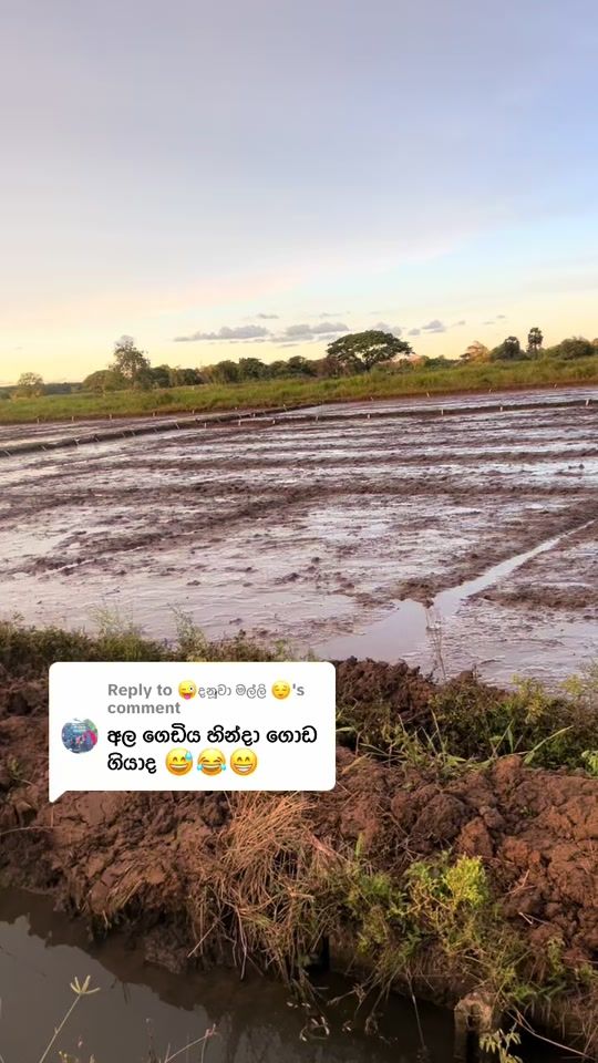 TikTok video thumbnail by lahiru70plus
