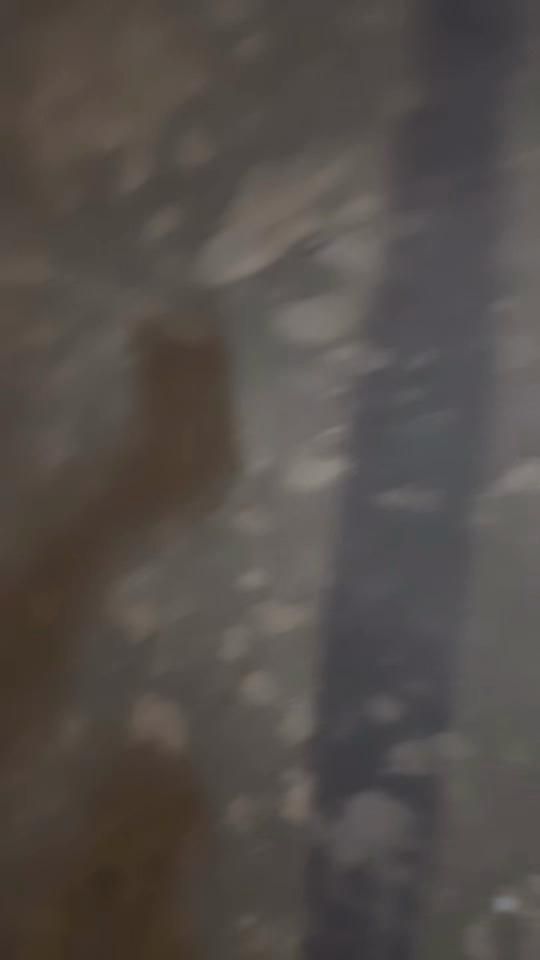 TikTok video thumbnail by bowbow_16