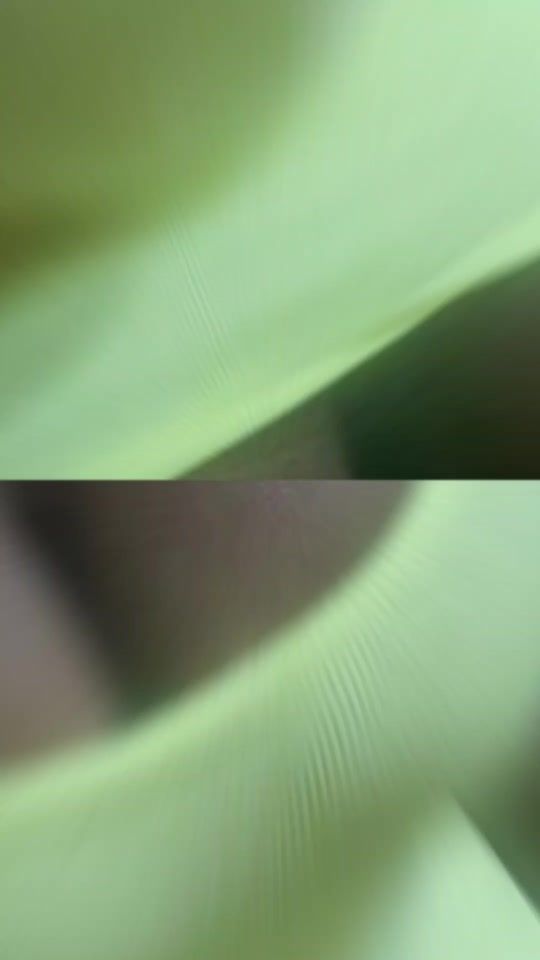 TikTok video thumbnail by shaday.mami