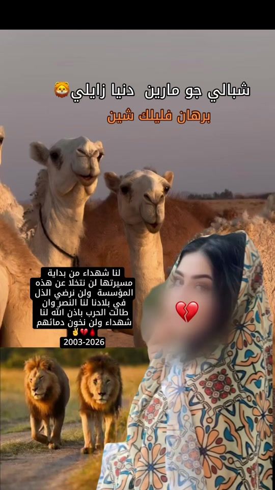 TikTok video thumbnail by lfil17