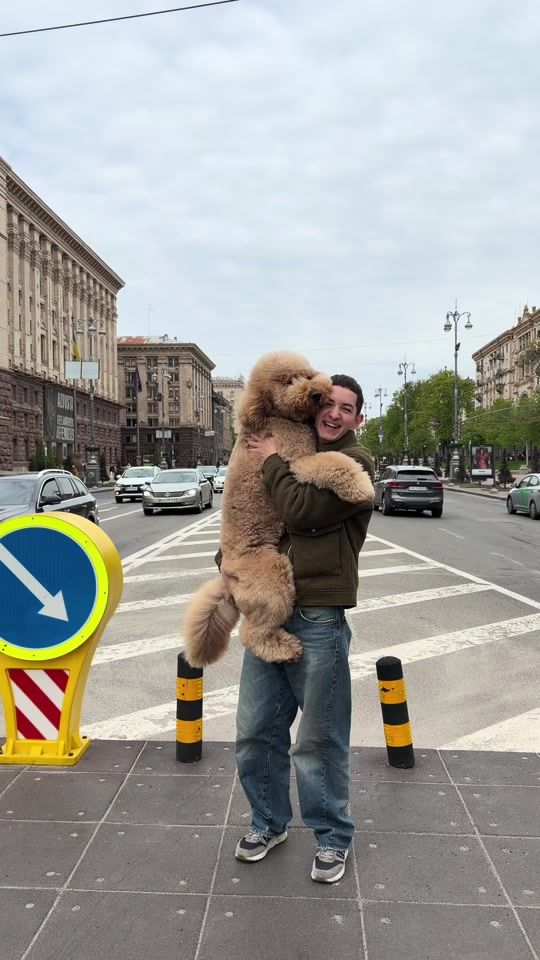 TikTok video thumbnail by ferapont.labradoodle