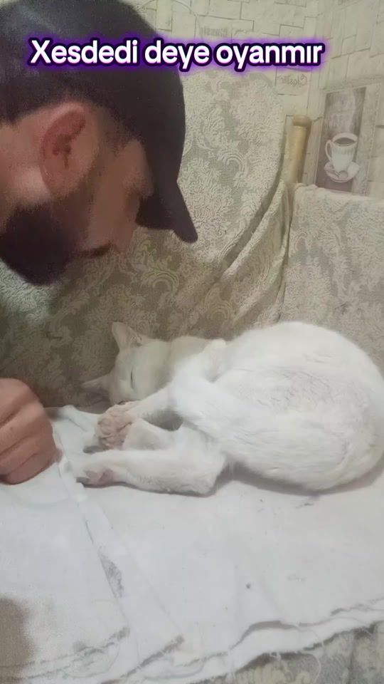 TikTok video thumbnail by damadi_89