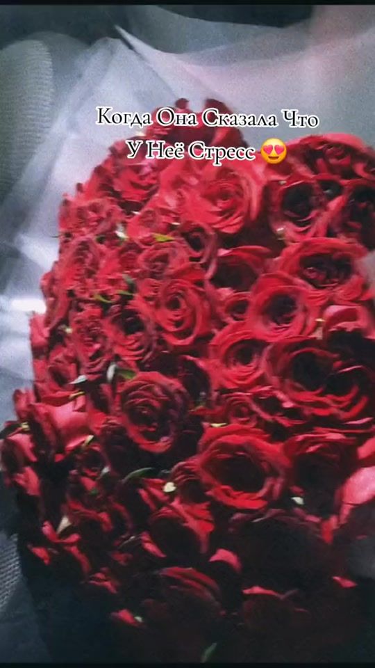 TikTok video thumbnail by shomka_555