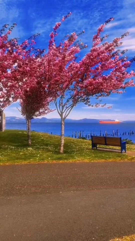 TikTok video thumbnail by yalan.dunya7131