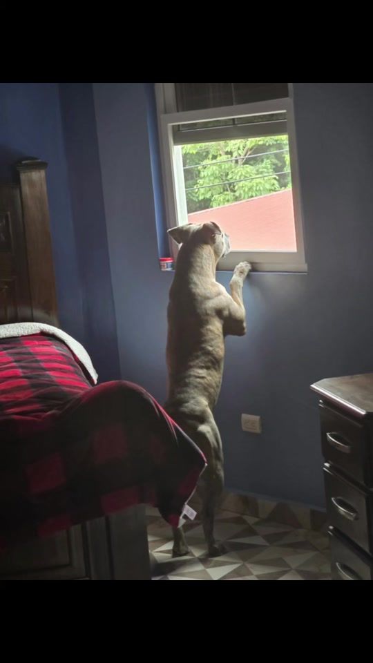 TikTok video thumbnail by maryurithmichelle