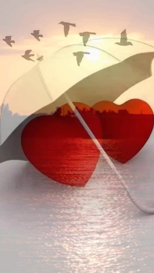 TikTok video thumbnail by sombi7916