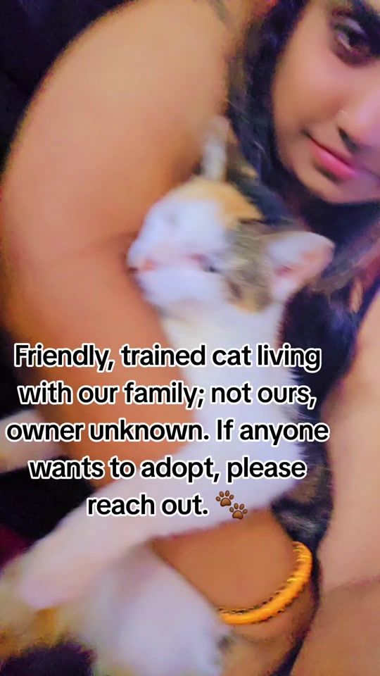 TikTok video thumbnail by angelyn_kumari