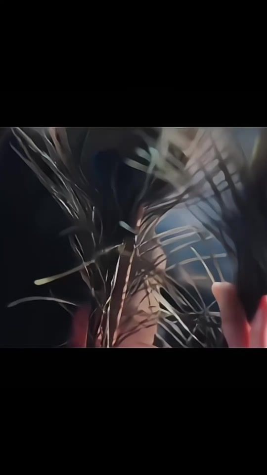 TikTok video thumbnail by cdrama088