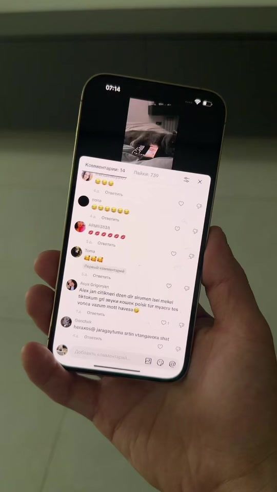 TikTok video thumbnail by dog.hachiko